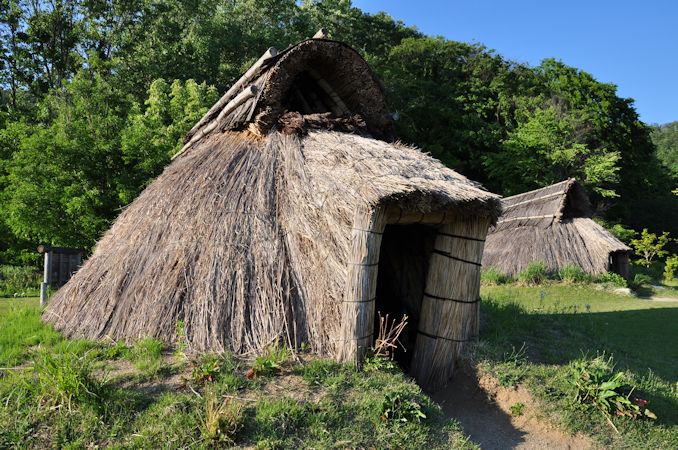 ☆ 旧家からの初出し古い襖の引き手 7個 如意と生け花，